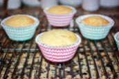 Vanilla Cupcakes with Cake Batter Frosting-2810